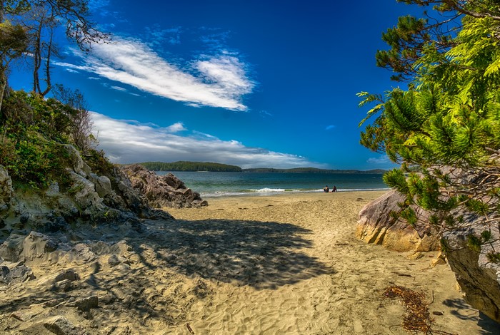 Beach at Tonquin Park, Canada