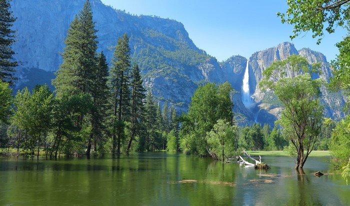 Yosemite National Park with Waterfall and Trees