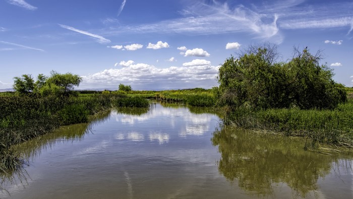 River and marshland in Los Banos, California under a cloudy sky