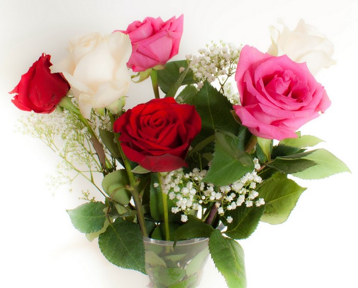 Bouquet of Roses with Baby's Breath