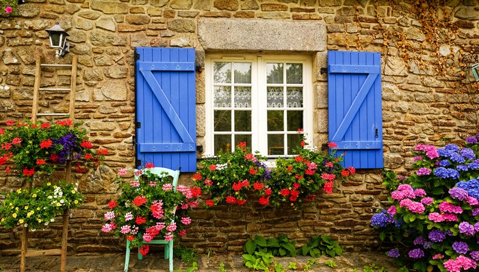 Charming Window with Blue Shutters and Vibrant Flowers 4K
