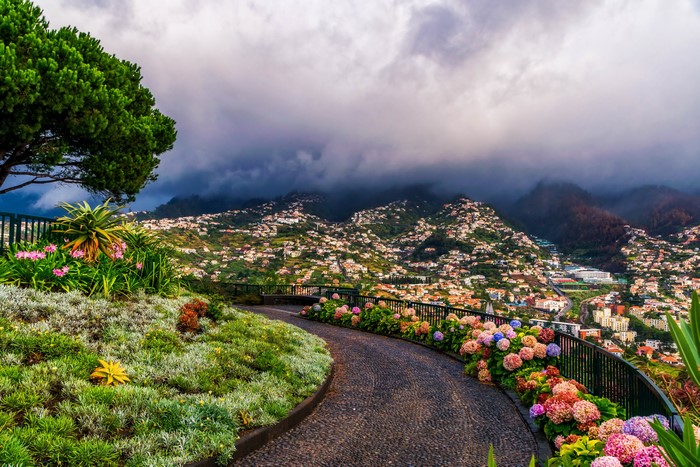 Funchal, Madeira Islands, Portugal hillside town with flowers