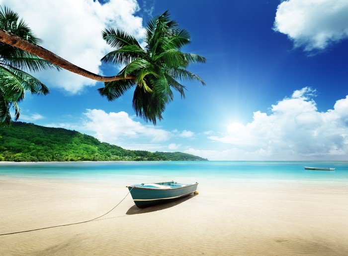 Tropical Beach with Palm Trees and Boat