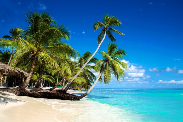 Tropical beach with palm trees and turquoise sea