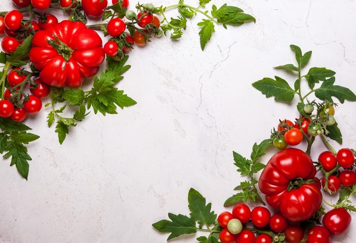 Tomatoes and Foliage Design Template