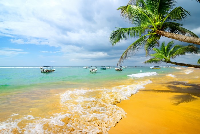 Tropical beach with palm trees and boats