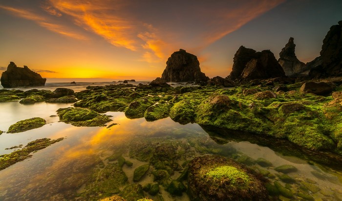 Mossy rocks and sea stacks at sunset in Adraga, Portugal