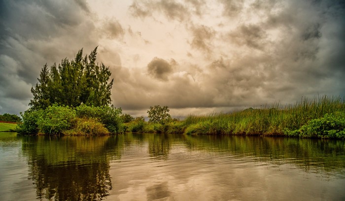 Island with trees and grass in a lake under cloudy sky