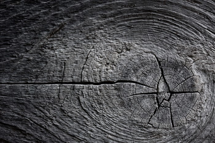 Close-up of weathered, dark wood grain texture