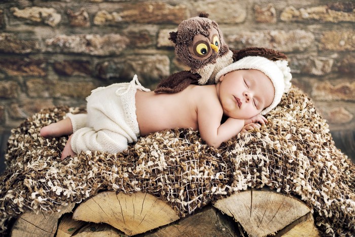 Baby sleeping with owl toy on logs
