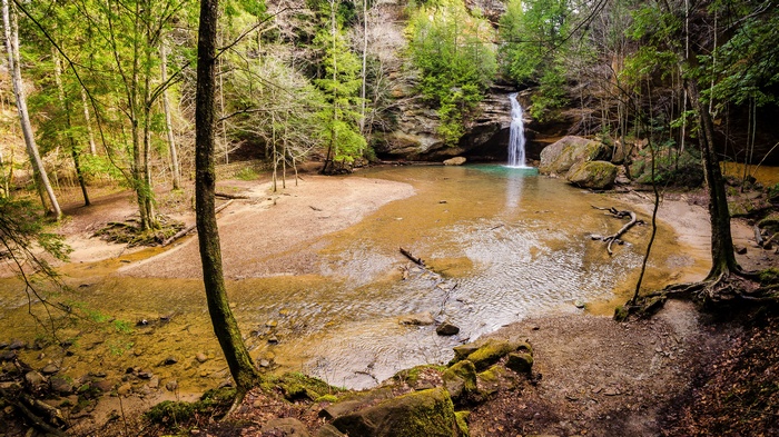 Waterfall cascading into a pool in a forest