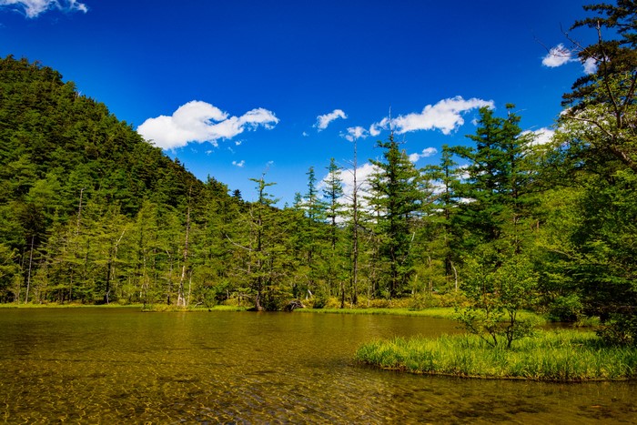 Kamikochi Lake and Spruce Forest in Nagano, Japan