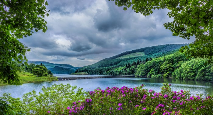 Reservoir with bridge and forested hills in Peak District