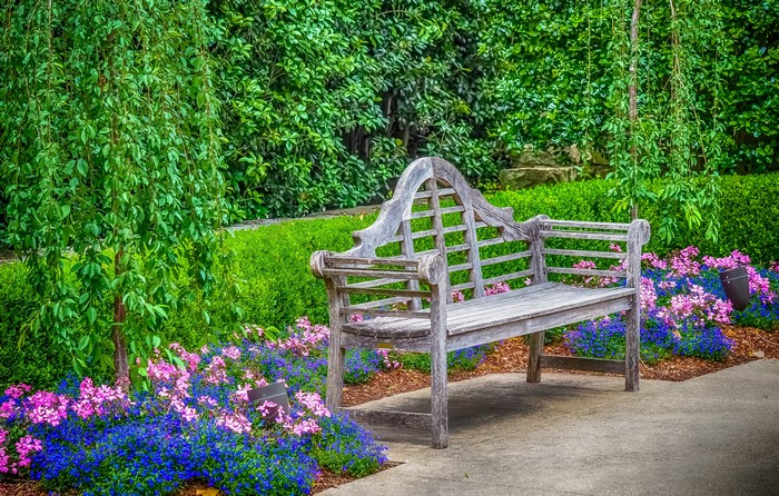 Wooden bench in a garden with flowers
