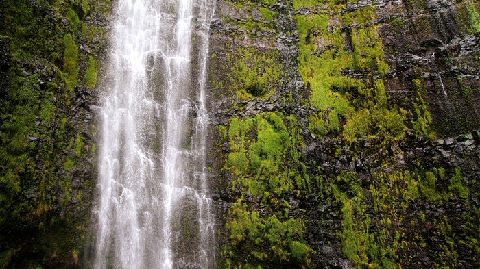Waterfall cascading down a moss-covered cliff face