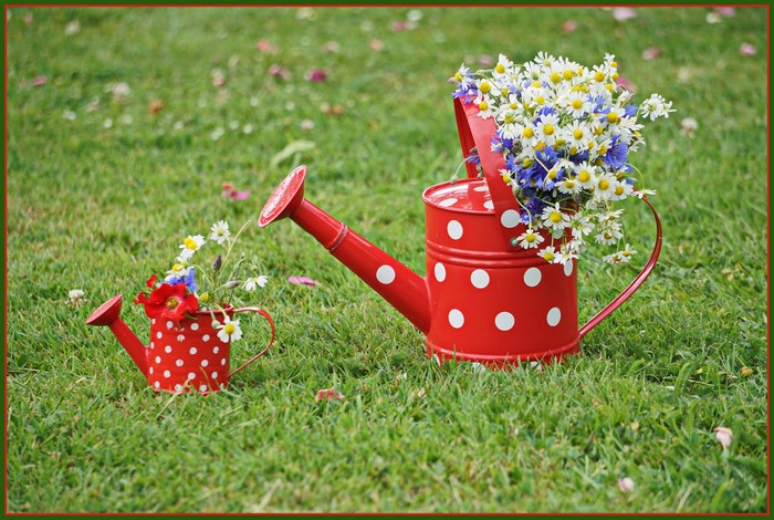 Red watering cans with flowers on grass