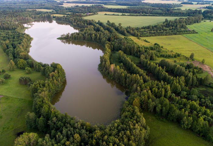 Lake Kuuni, Estonia: Aerial View of Lake and Forests