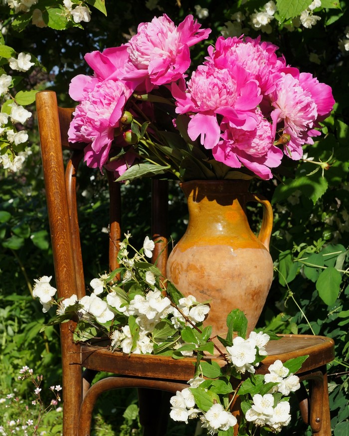 Pink peonies and white jasmine in a jug on a chair