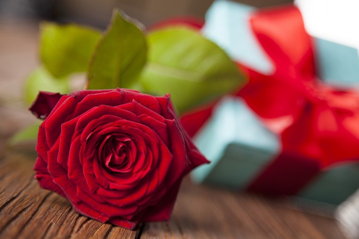 Red Rose and Gift Box