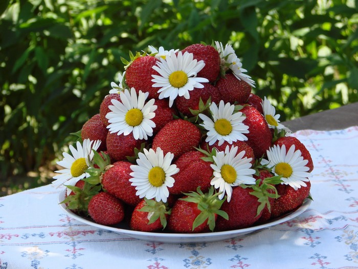 Strawberries and Camomiles in a Bowl
