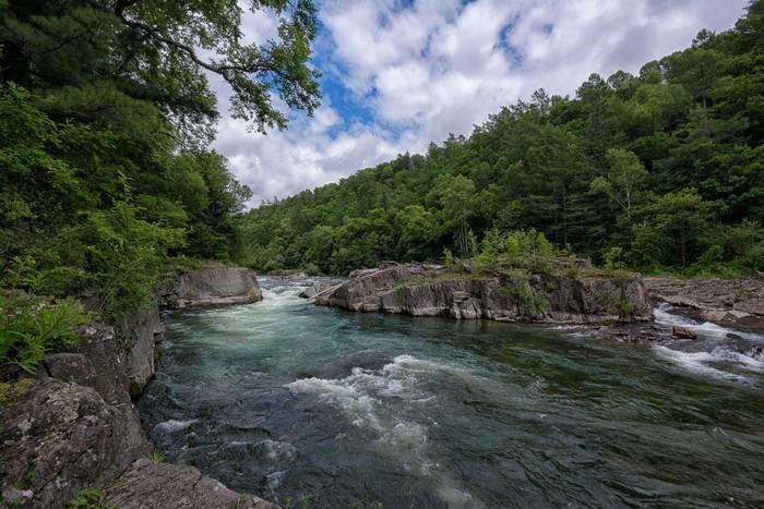 River flowing through a forest in Primorsky Kray, Russia