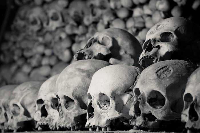 4K Skulls in Black and White