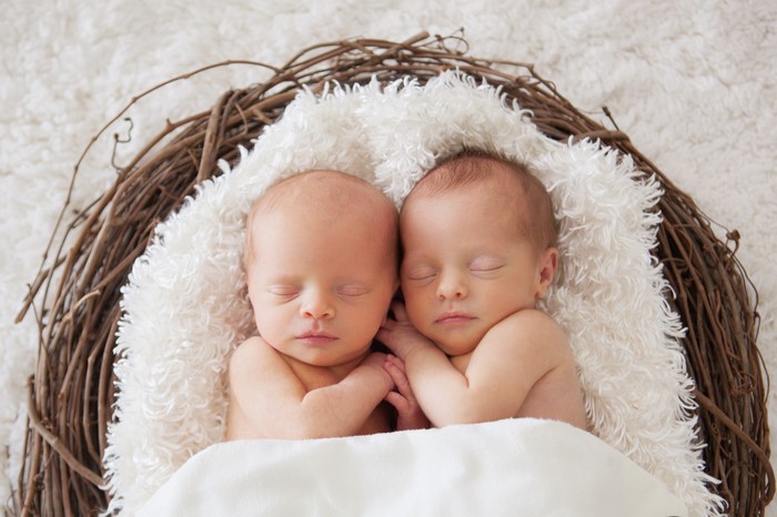 Two Newborn Twins Sleeping in a Nest