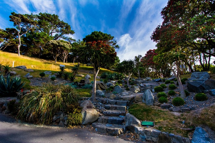 Wellington Botanical Garden, New Zealand