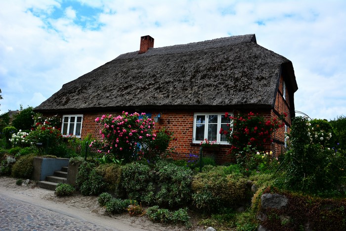 Thatched roof house in Gross Zicker, Germany with roses