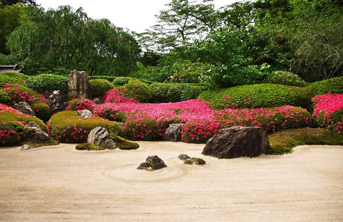Japanese Zen Garden with Pink Azaleas and Raked Sand