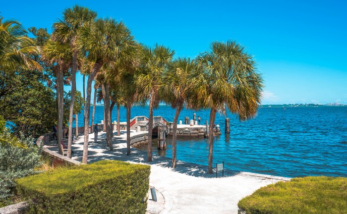 Miami Florida Coastline with Palm Trees and Bridge