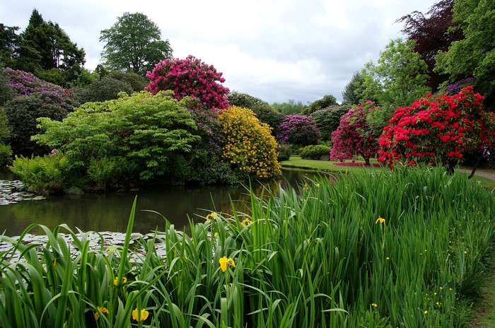 Biddulph Grange Garden, United Kingdom, Pond with Flowering Trees
