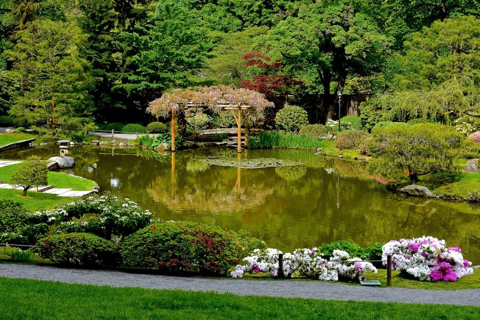 Japanese Garden with Pond and Flowering Shrubs