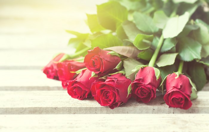 Red Roses on a Wooden Surface