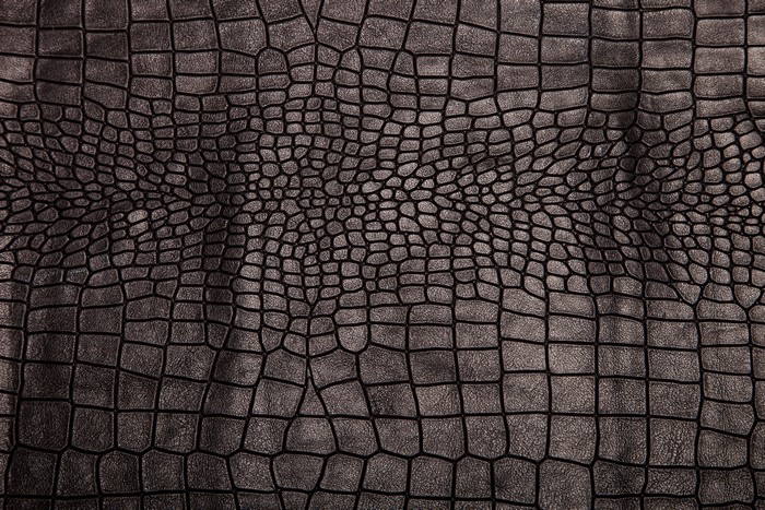Dark Crocodile Leather Texture