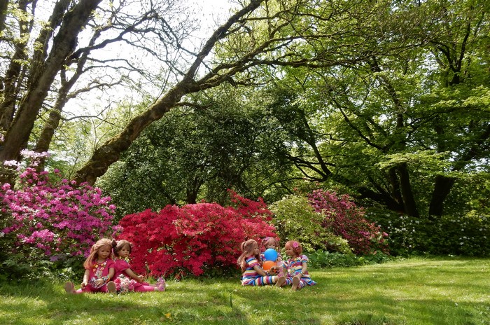 Four dolls sitting in a garden with rhododendrons