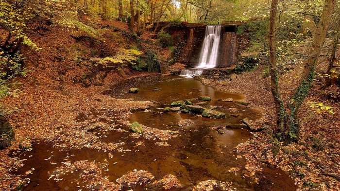 Waterfall in a forest during autumn