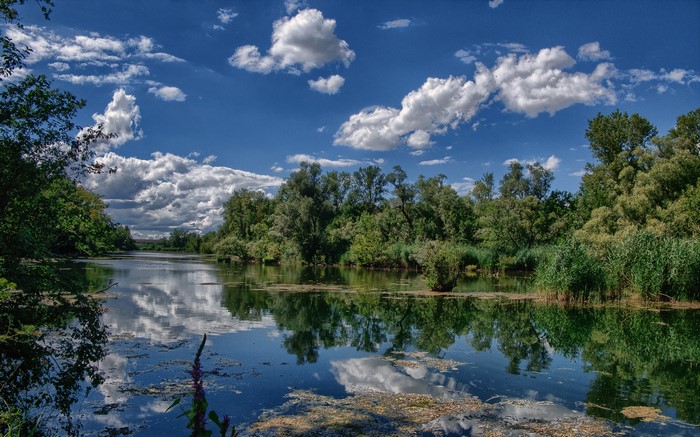 River with trees and clouds in Jons, France