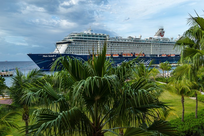 Mein Schiff 5 cruise liner docked near palm trees in Curacao