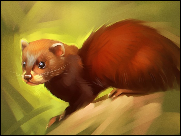 Painting of a weasel on a branch