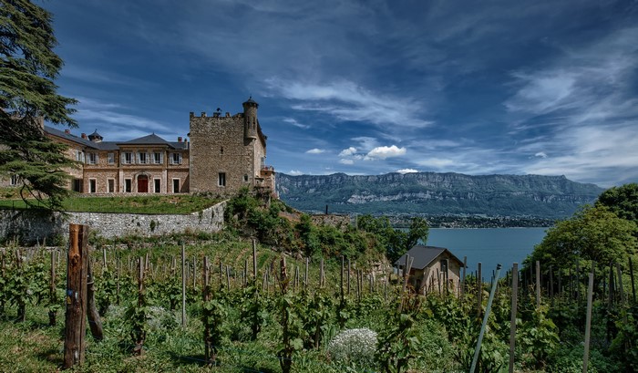 Chateau and vineyard overlooking a lake in Bourdeau, France