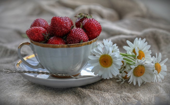 Still life with strawberries in a cup and daisies