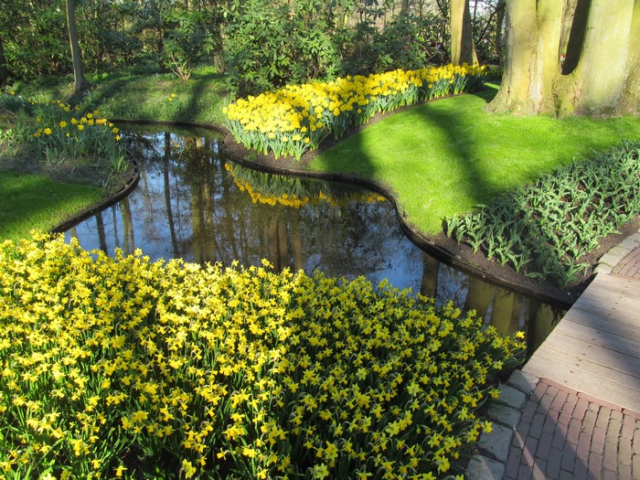 Keukenhof Gardens with Pond and Daffodils in the Netherlands