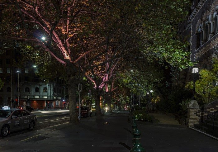 Street at Night in Melbourne, Australia