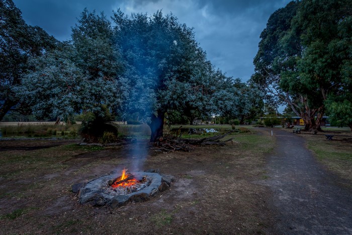 Bonfire in a park with trees and a trail