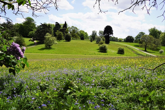 4K Calke Abbey United Kingdom Summer Grasslands Trees