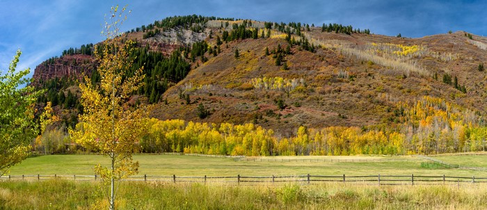 Autumn mountain landscape with yellow trees and fence