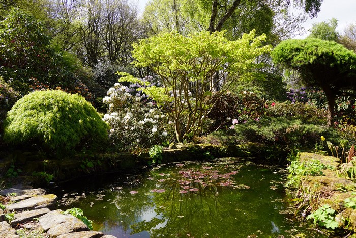 Lee Gardens United Kingdom Pond and Shrubs