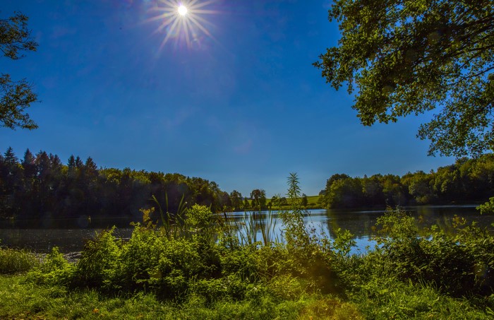 Lake and forest in Gillenfeld, Germany with sun