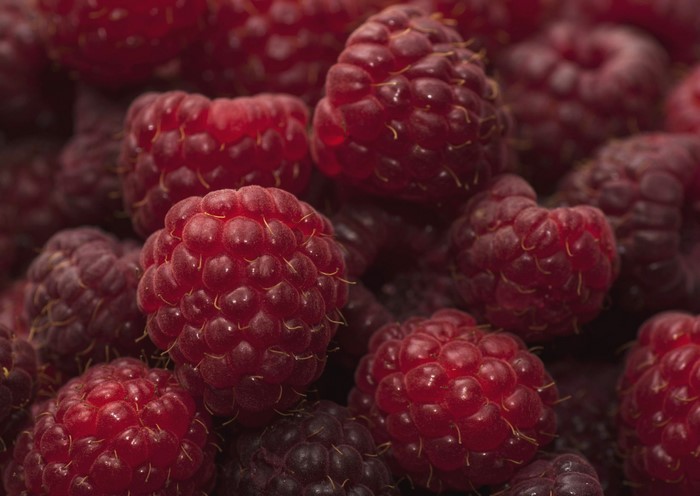 Close-up of fresh raspberries